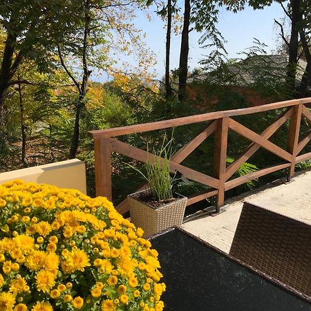 Pelion 7 Lives Villa Tsagkarada Eksteriør billede
