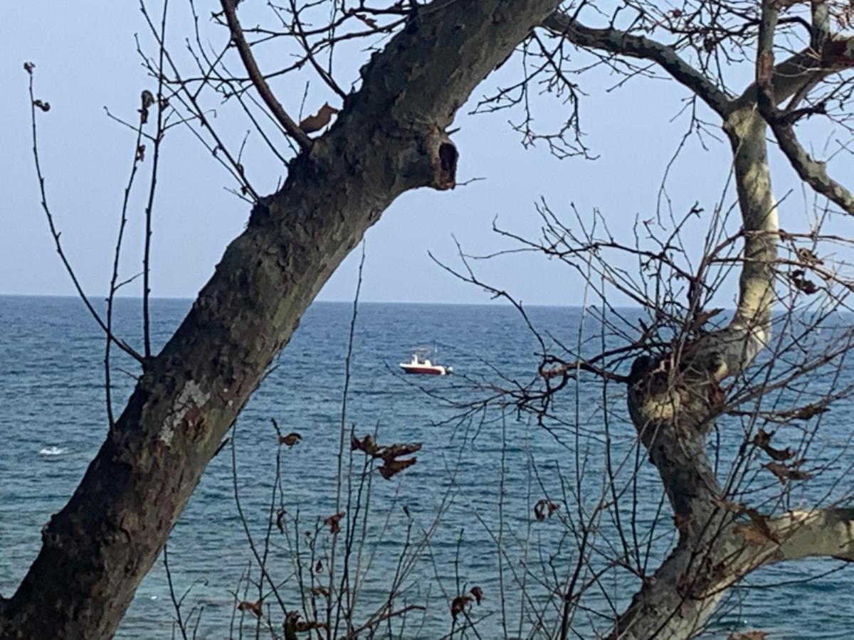 Pelion 7 Lives Villa Tsagkarada Eksteriør billede