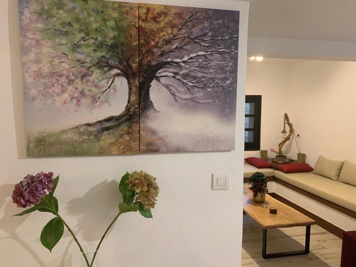 Pelion 7 Lives Villa Tsagkarada Eksteriør billede