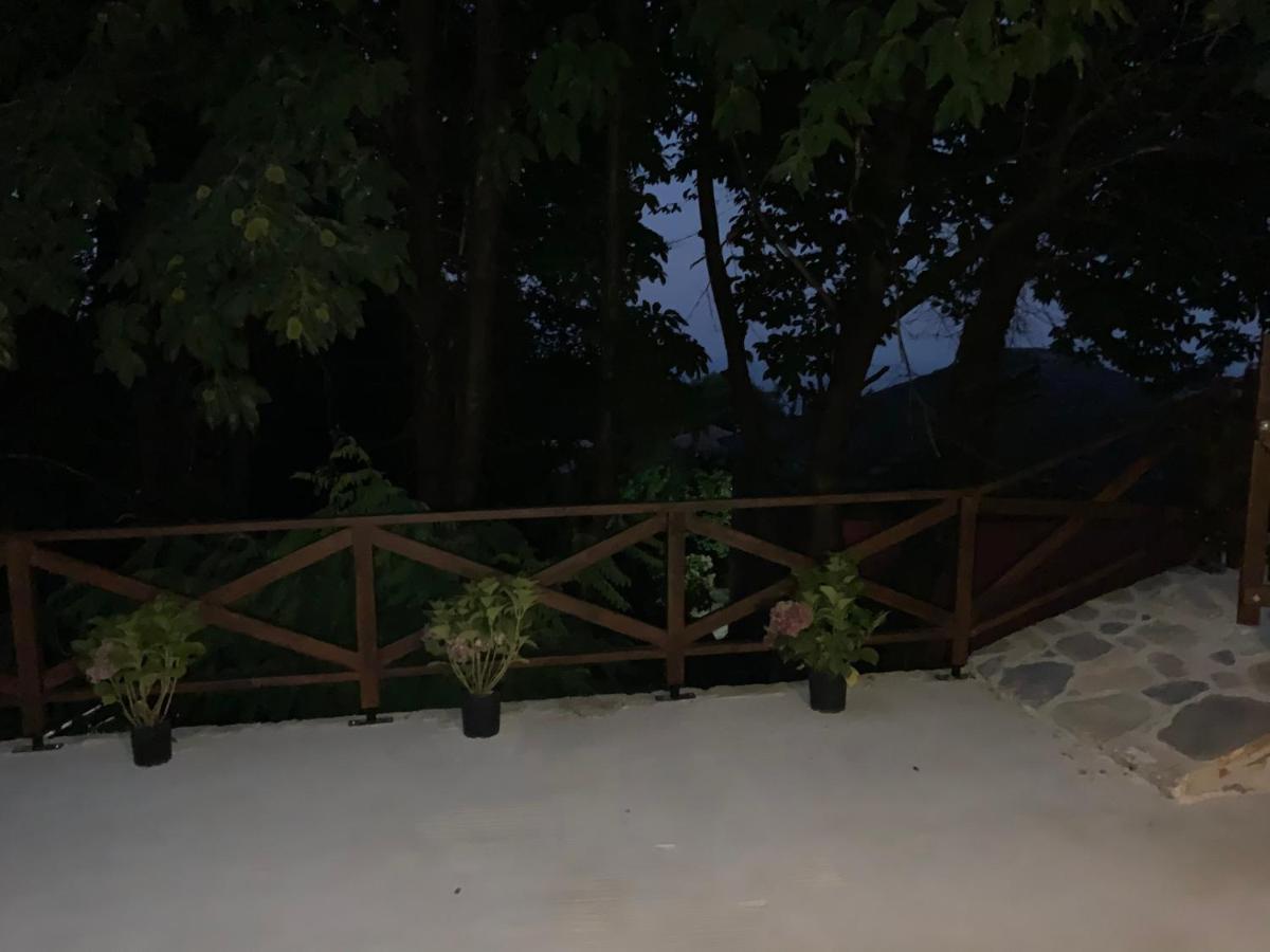 Pelion 7 Lives Villa Tsagkarada Eksteriør billede